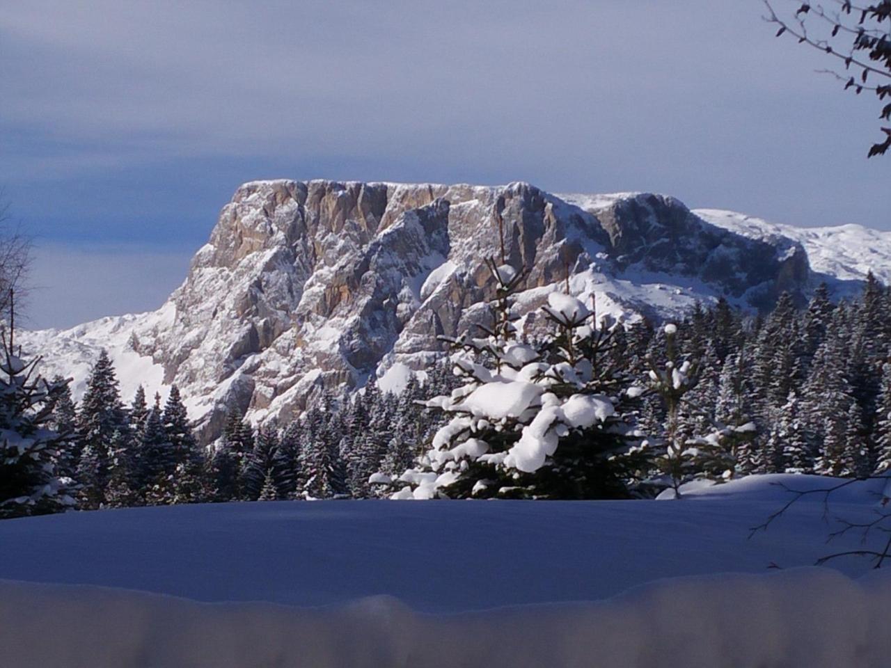 Apartment Durmitor Zabljak  Luaran gambar